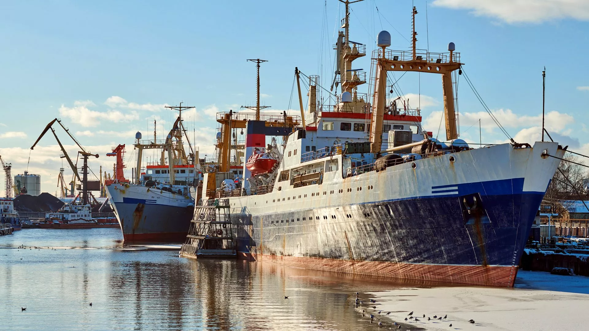 Vertäute Frachtschiffe und Hafenkräne im winterlichen Hafen
