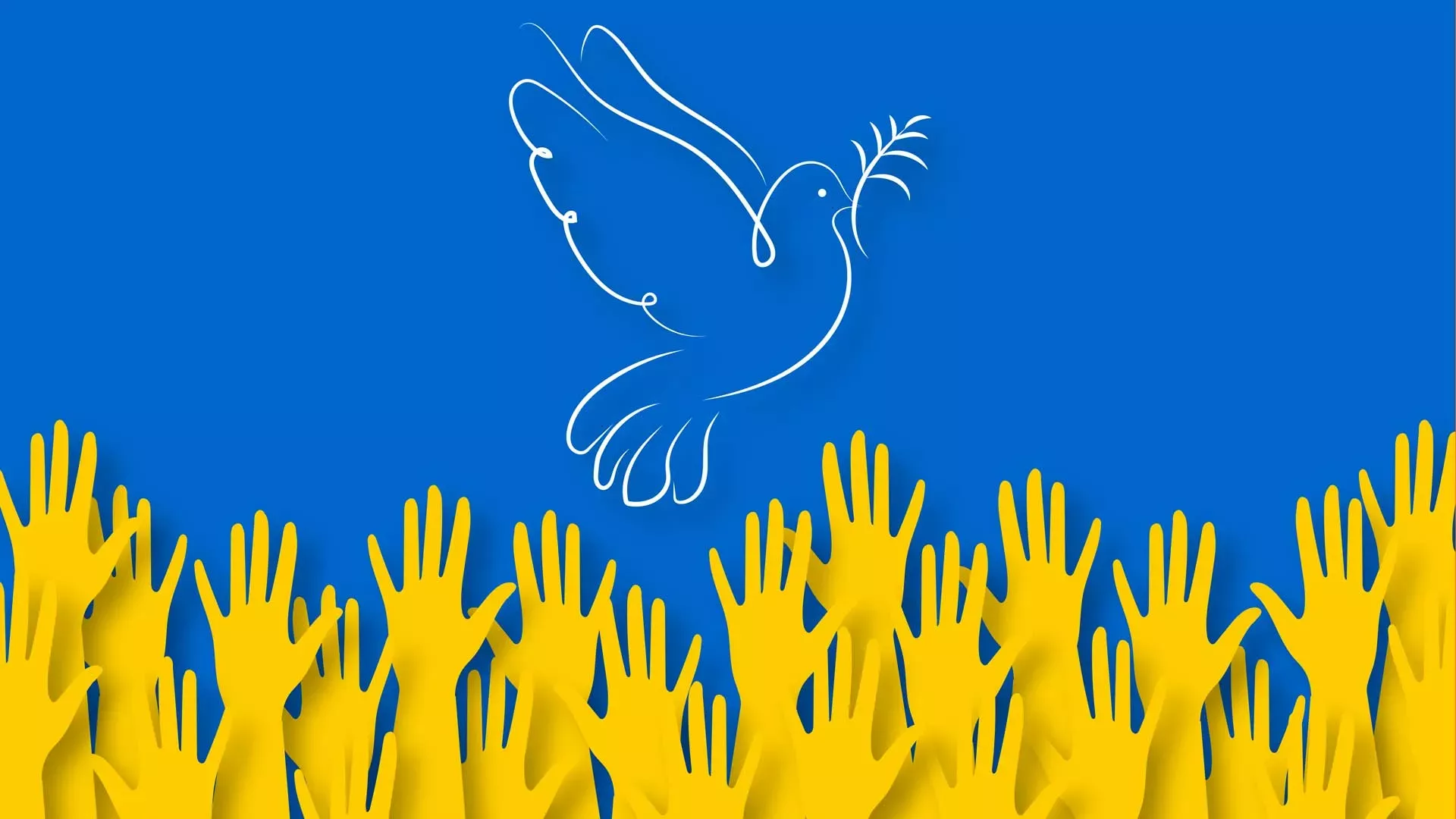 Friedenstaube vor Hintergrund der Farben der Flagge Ukraine